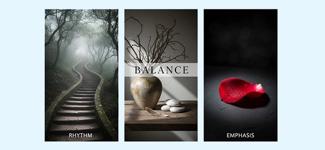 What-Are-the-Principles-of-Design-in-Photography